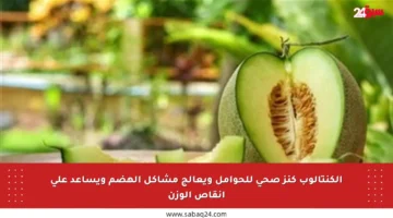 الكنتالوب كنز صحي للحوامل ويعالج مشاكل الهضم ويساعد على إنقاص الوزن